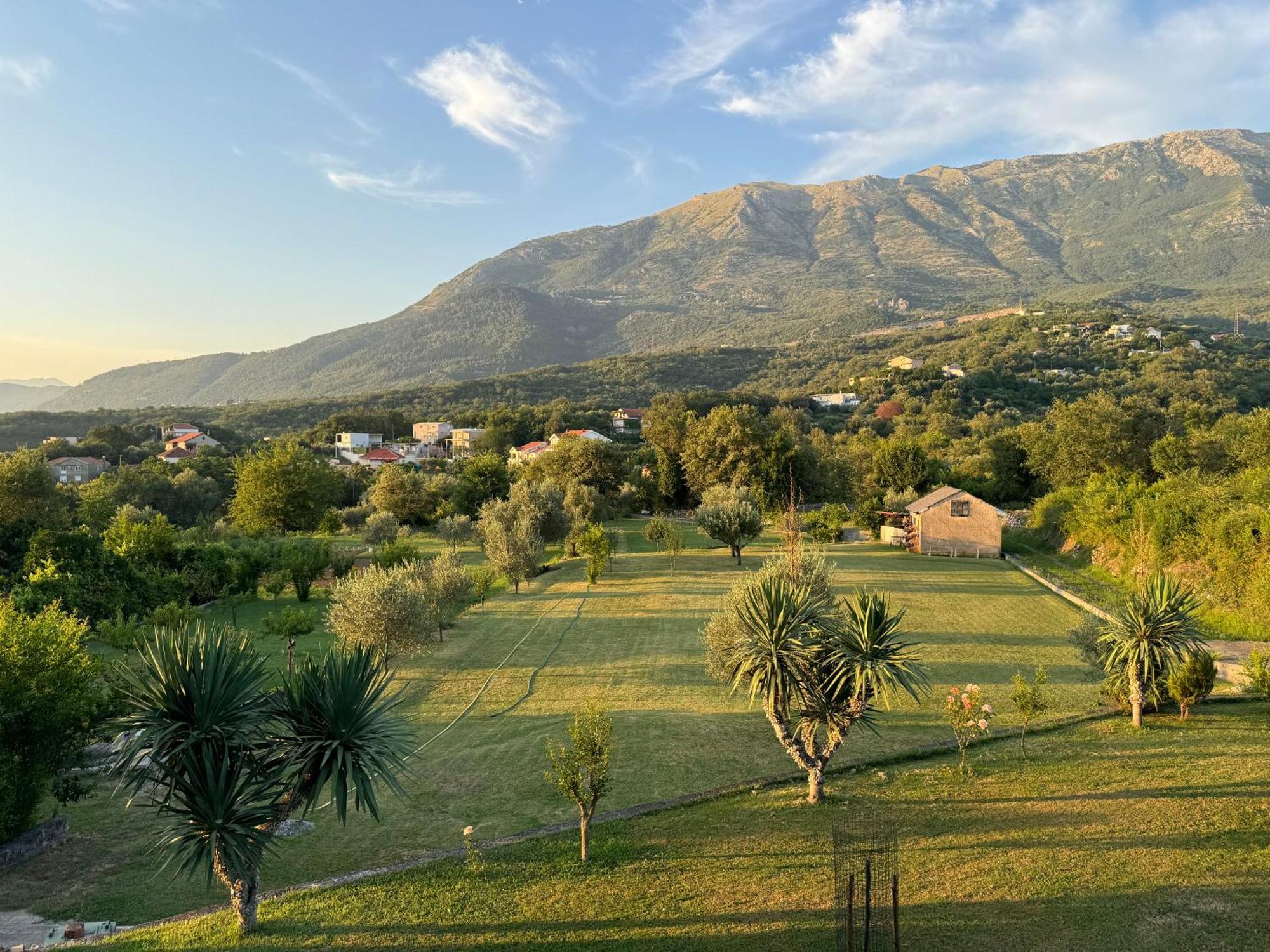 Daire Raskovic Kotor